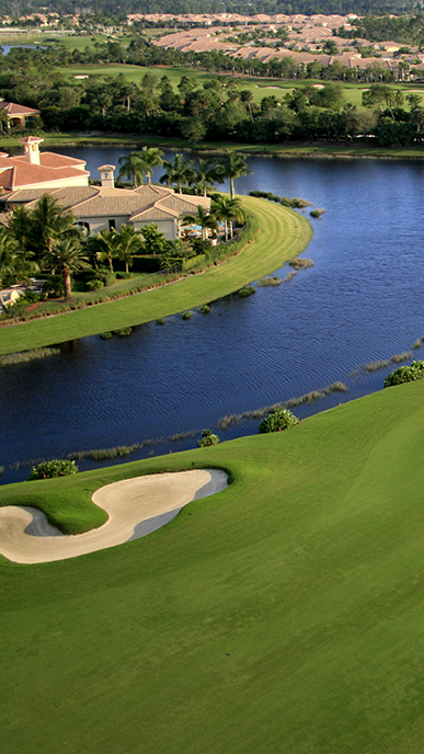 Golf crop